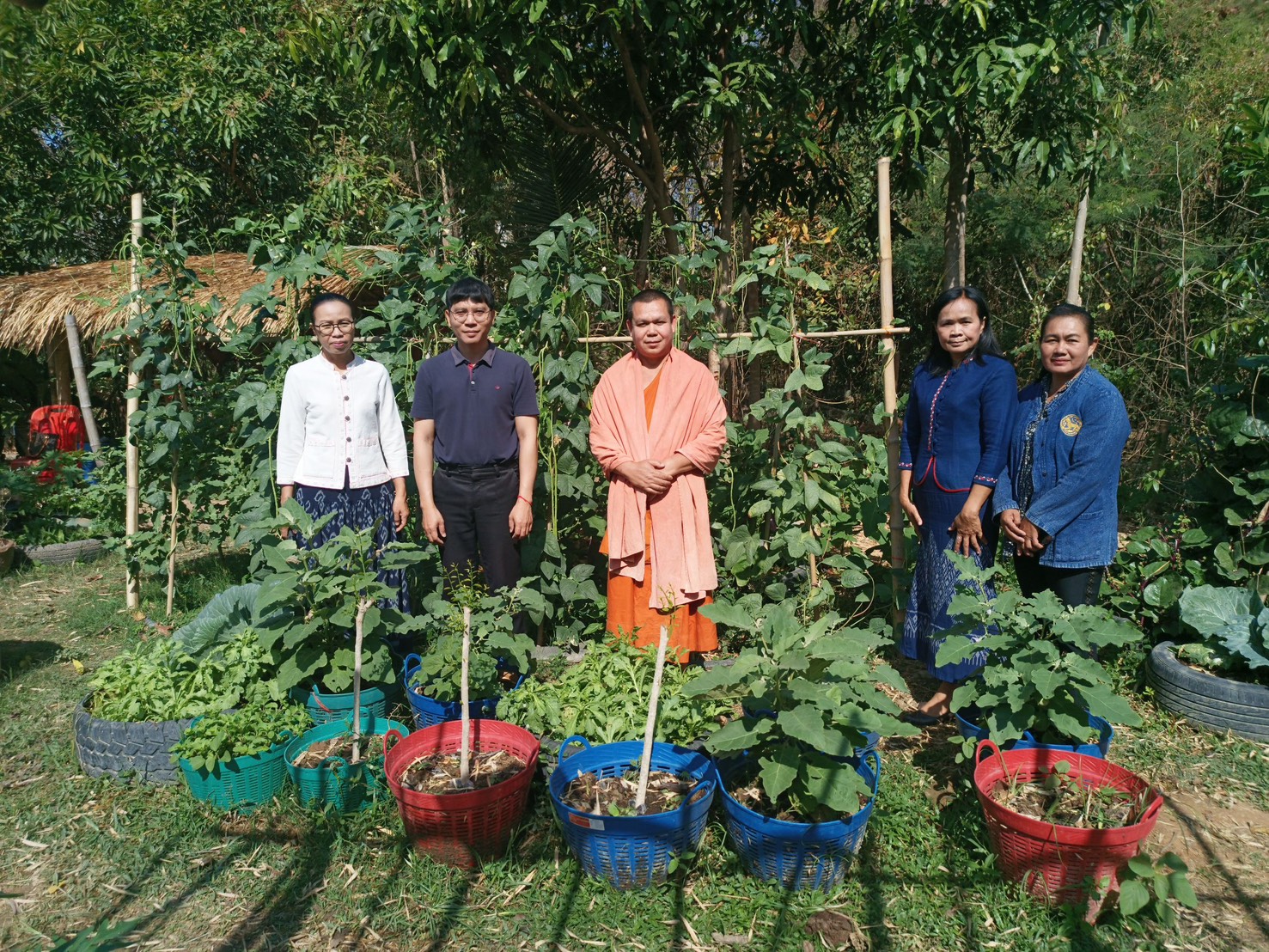 สำนักงานพัฒนาชุมชนอำเภอโพธิ์ไทร พาส่องครัวเรือนต้นแบบ ปลูกผักสวนครัว เนรมิตพื้นที่สีเขียวให้กลายเป็น คลังอาหาร สุดจึ้ง